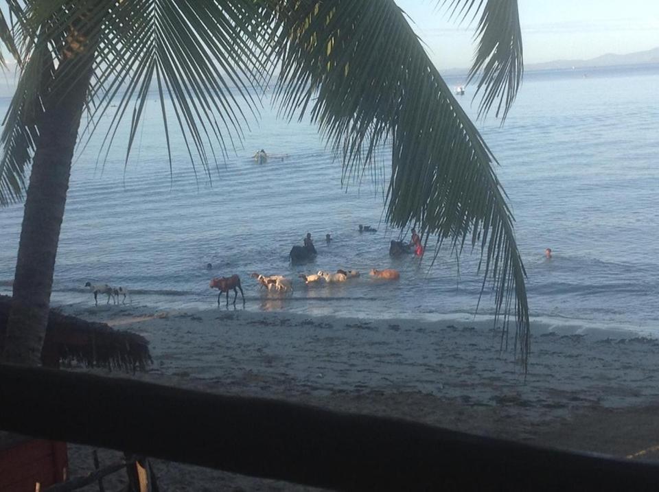 Villa Mena Nosy-Be Luaran gambar
